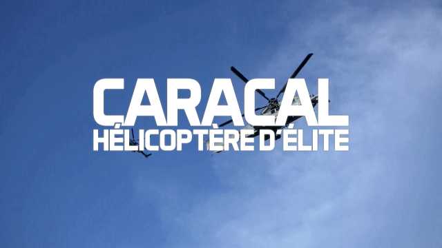 CARACAL
