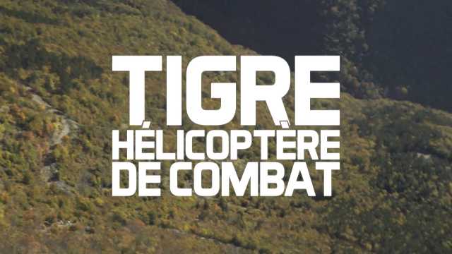 TIGRE