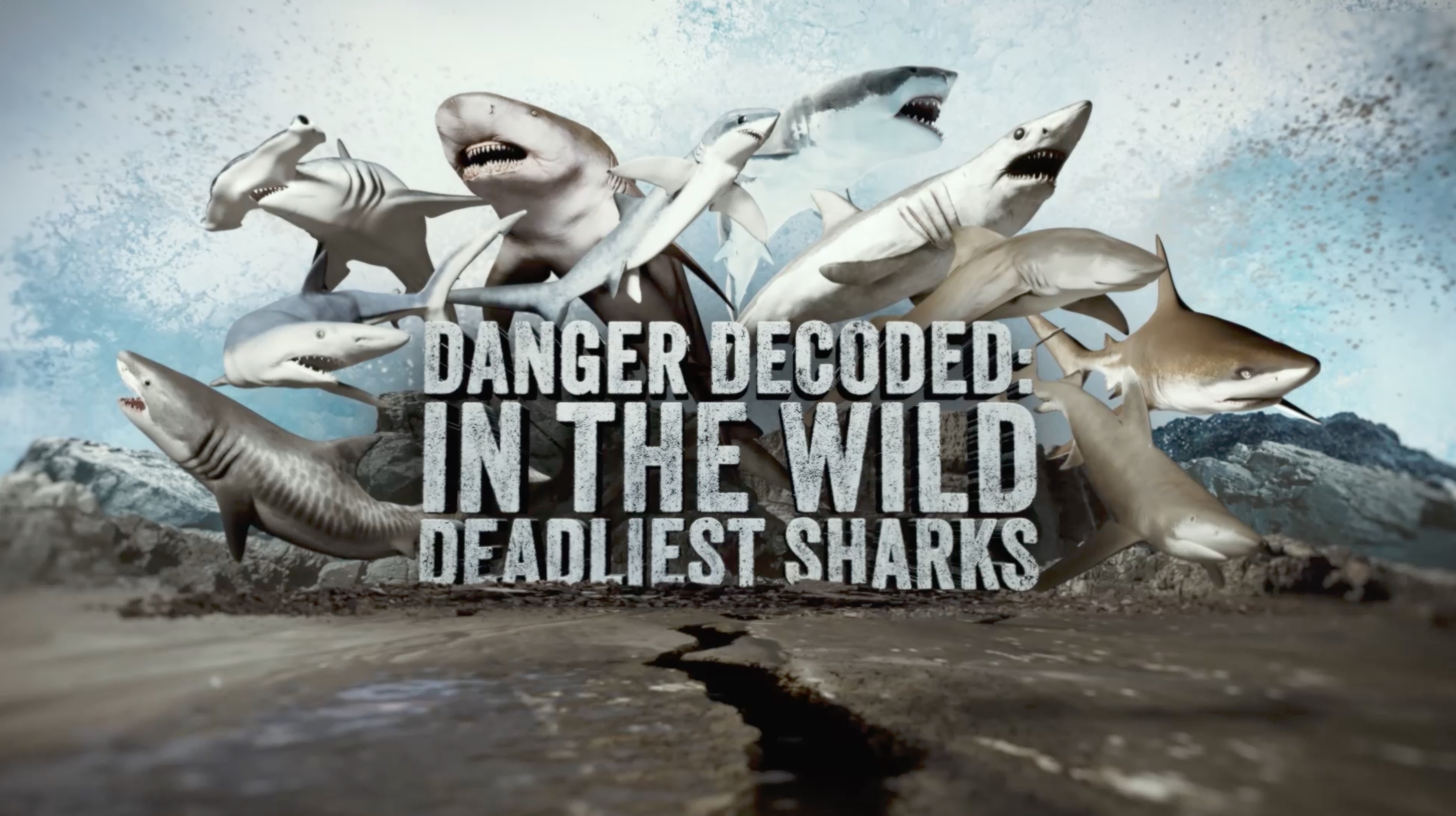Affiche TOP10_Sharks